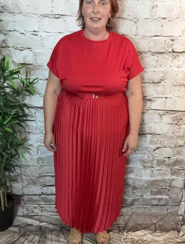 NAVY Bianca Pleated Dress best fits 12-22 - Image 4