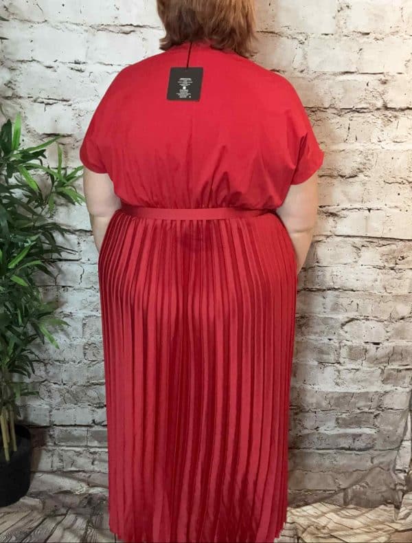 NAVY Bianca Pleated Dress best fits 12-22 - Image 3